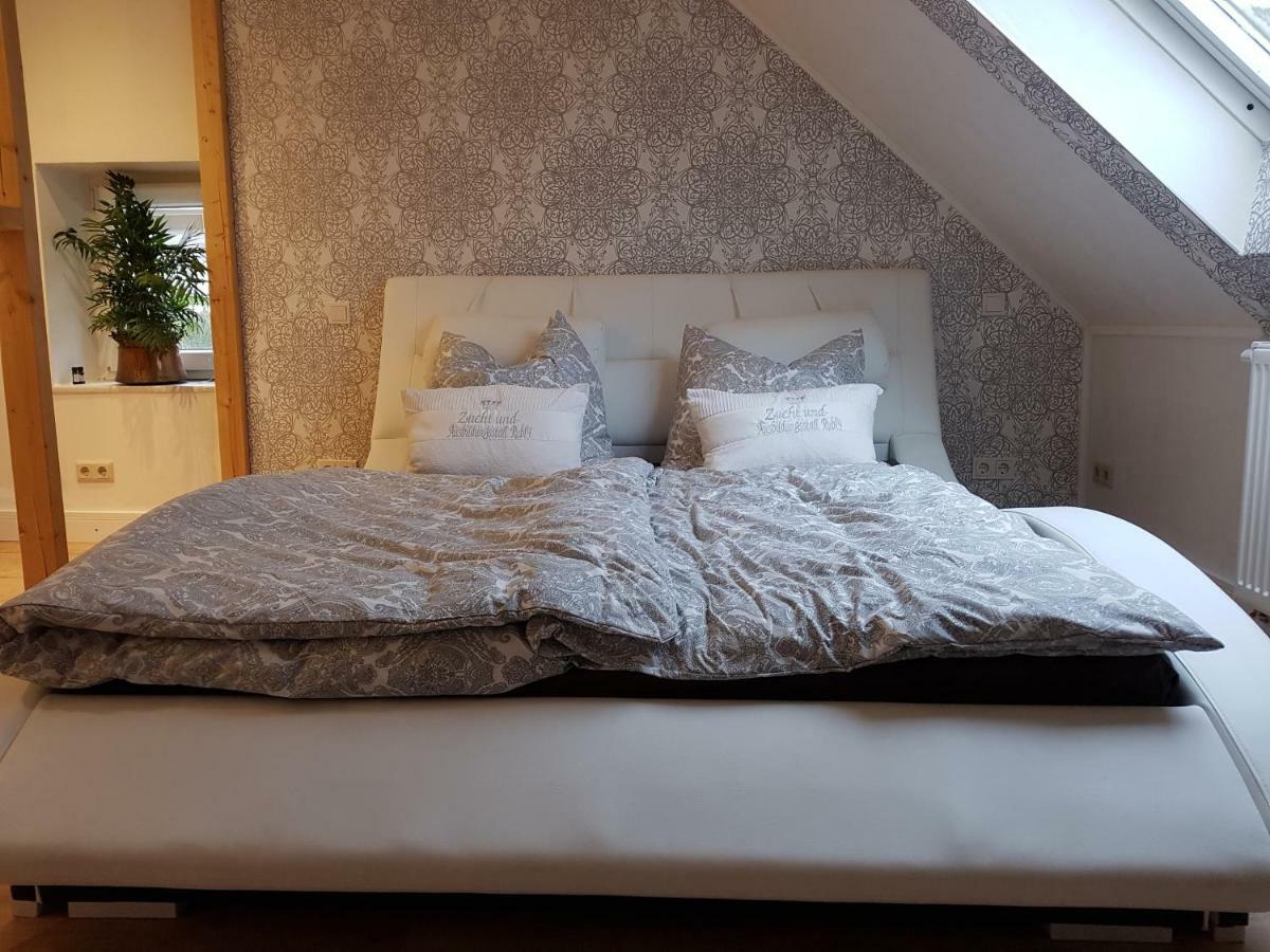 Zucht- Und Ausbildungsstall Rubly Kleinbundenbach Dış mekan fotoğraf