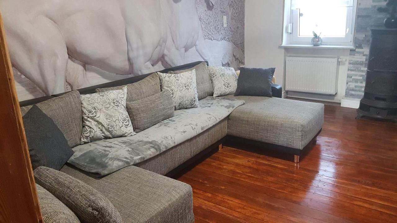 Zucht- Und Ausbildungsstall Rubly Kleinbundenbach Dış mekan fotoğraf